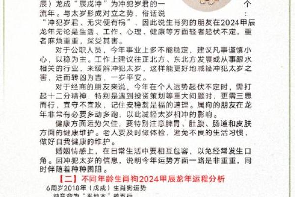 属狗1969年出生的人命理分析与生活指南