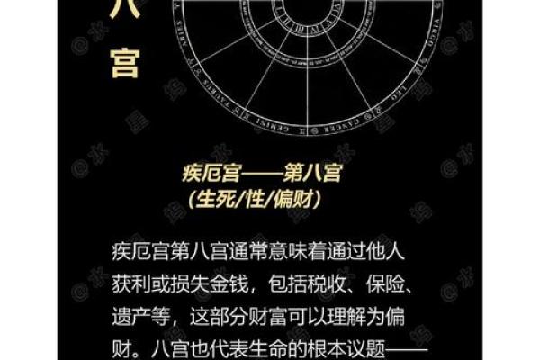 1992年出生的人命格解析：智慧与机遇的结合之路