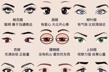女人眉头竖着的命运：眉头纹解读人生的秘密与运势