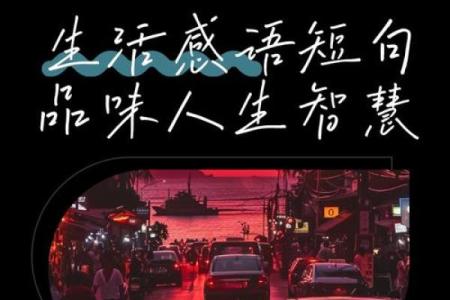 乐在其中，享受生活的每一刻：人生的智慧与启示
