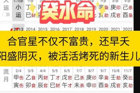71年属什么命：探寻命运背后的神秘与智慧