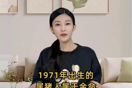 1978年属猪的命运与性格解析：人生的机遇与挑战