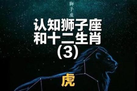 2011年属虎的命运与性格解析，揭秘虎年的神秘魅力