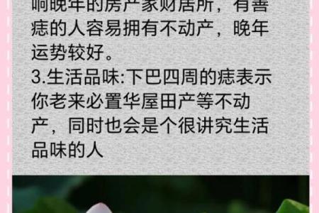 探秘富贵命的背后：命运之中隐藏的财富与福气