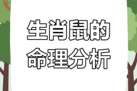 1972年鼠年命运解析：环境与性格的深度链接