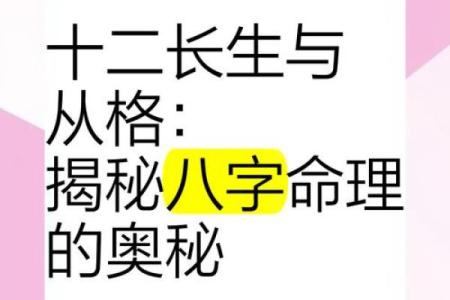 探索乙亥戊寅己丑命的命理奥秘与人生启示