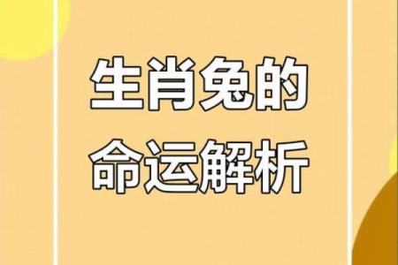 兔年运程分析：2023年兔命人运势全解！