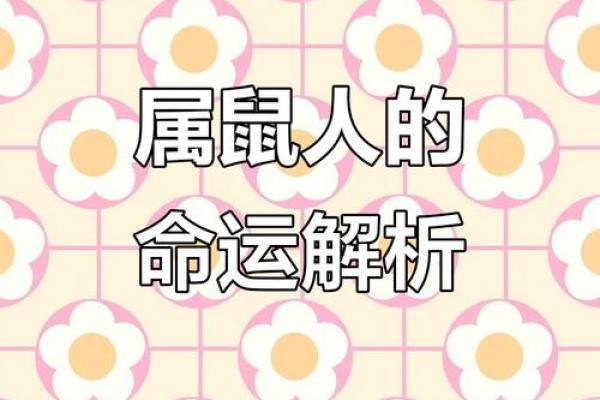 2020年生肖运势预测：揭开你命运的新篇章