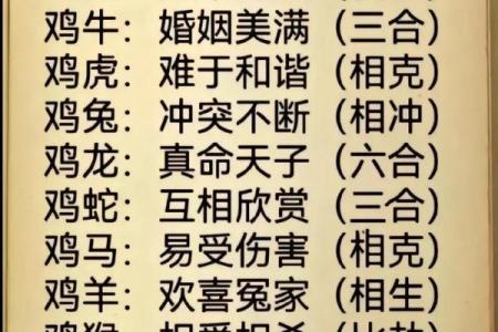 93属鸡的人命运解析：性格、运势与人生机遇