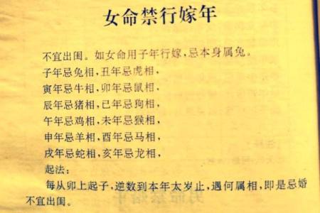 属狗正月出生的人命运解析：性格、事业与爱情的全面解读