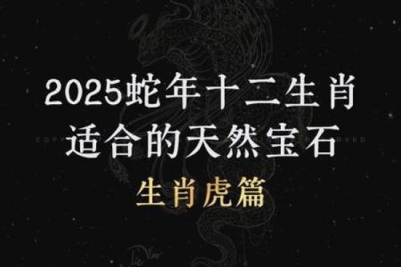 明年属虎人运势解析：揭秘2024年你的命运走向！