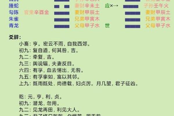 探寻仙命癸巳的最佳坐向，揭秘布局与风水的奥秘！