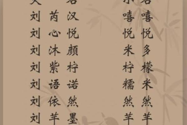姓刘男孩的命运与人生之路探寻