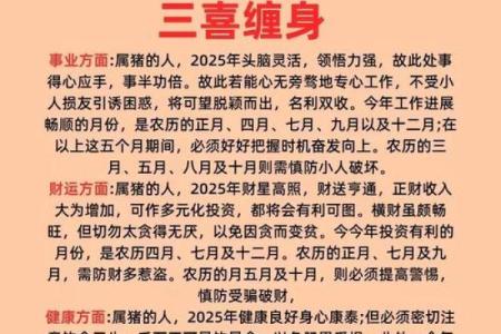 属猪的人2023年吉命解析：财富与和谐并存的幸福之路