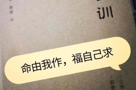 探索定命：命书的奥秘与智慧，助你人生更顺畅
