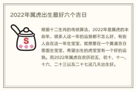 明天出生虎宝宝的命运与性格大揭秘！