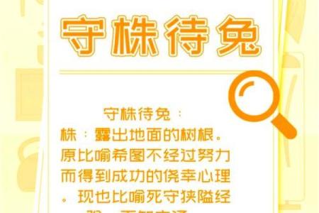 根据兔年命名的成语，探索兔子的灵性与智慧之源！