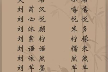 姓刘男孩的命运与人生之路探寻