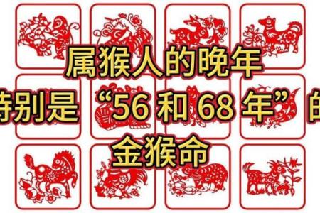 属猴的命格分析：哪些命格最有利于属猴人？
