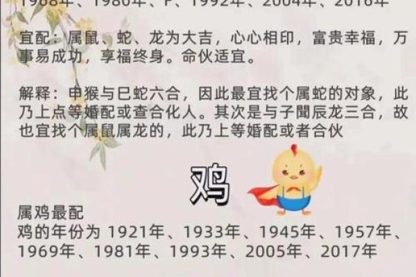 男性属相与婚姻命运：哪些生肖更容易遇到婚姻困扰？