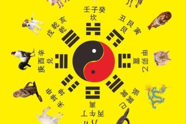 属相与命理：揭秘不同属相与命运的关系