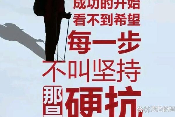 连战命理：揭开命运的神秘面纱，探索人生的奋斗之路