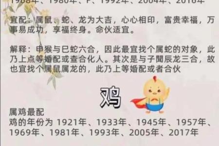 男性属相与婚姻命运：哪些生肖更容易遇到婚姻困扰？