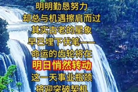 49岁属狗女人的命运解析：智慧与机遇的交响乐