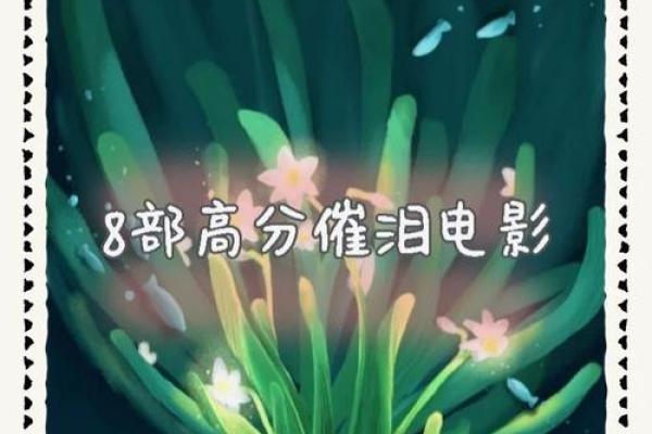 《九命灵猫：命运的转折与生命的启示》
