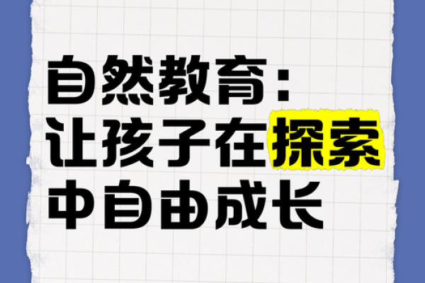 属猪15岁：命运之路的探索与成长