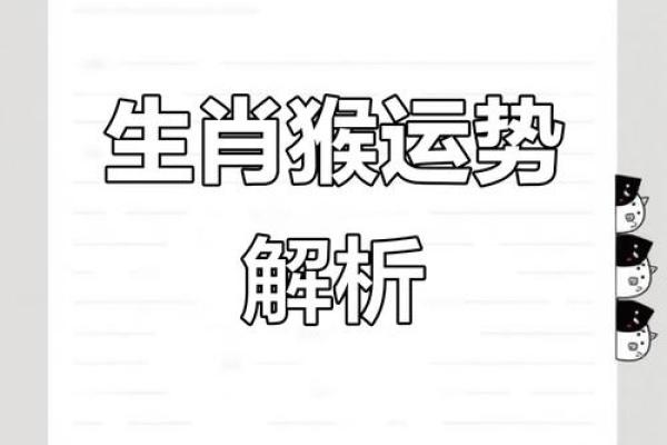 2019年生肖属猴人的命运解析与运势提升指南
