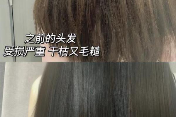 头发硬的人，命运的秘密揭开，三大特征决定人生方向！