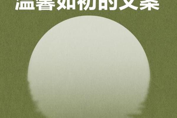情同手足，生死与共——探寻兄弟情深的真谛