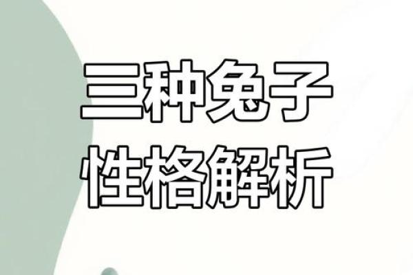 1999年是兔年，属于土兔命格的魅力与特性探讨