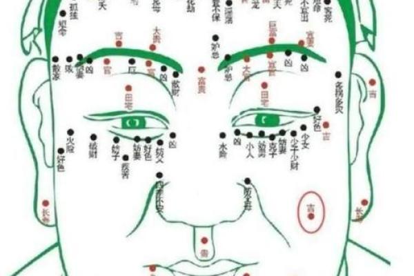 眉毛的秘密：决定女孩命运的三大要素