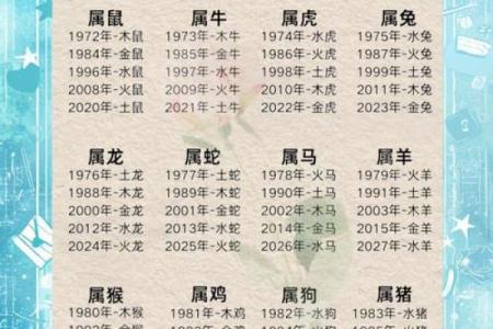张姓男孩的命运探秘：五行与人生的奥秘