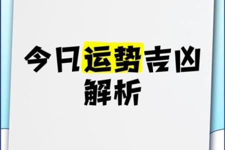命理应用软件大推荐：助你轻松掌握人生吉凶!