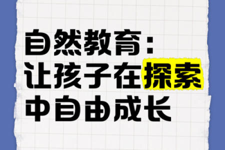 属猪15岁：命运之路的探索与成长