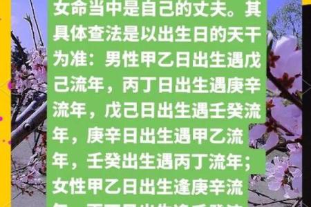 什么样的面相才有桃花命？揭秘桃花面相特征与爱情运势！