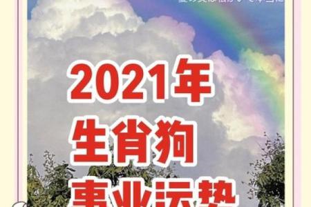 揭开11月属狗男的命运之谜，探索生活与事业的无限可能！