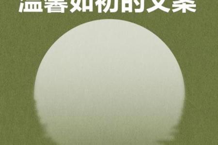 情同手足，生死与共——探寻兄弟情深的真谛