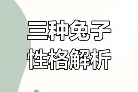 1999年是兔年，属于土兔命格的魅力与特性探讨