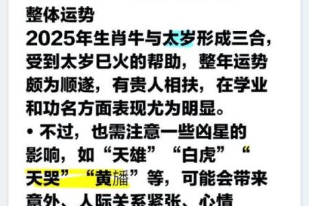 2019年牛年命运解析：掌握机遇，逆袭人生的秘密