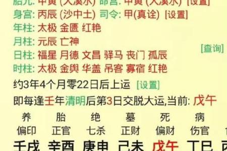 探秘命理：丙寅、乙未、戊辰与辛丑的命运奥秘