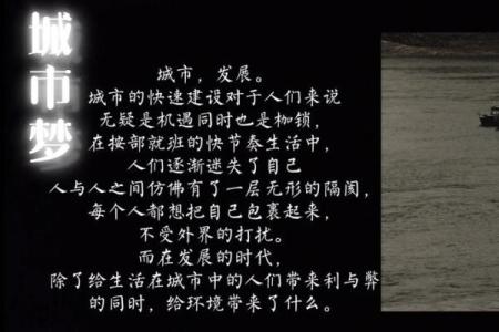 42天，改变人生的奇妙旅程：从坚持到蜕变