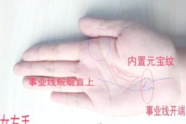 揭秘女人右手斗——命运与性格的关系深度分析