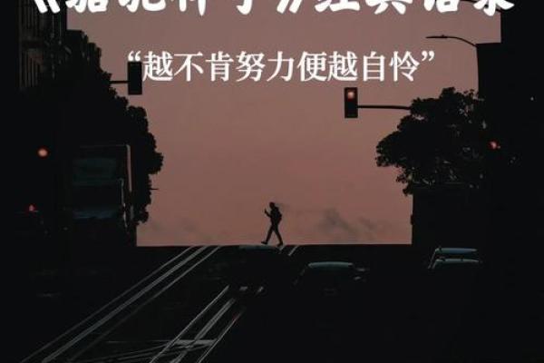 《九命奇冤：命运交织的悬疑之旅》