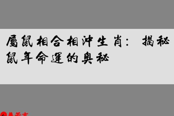 1940年属的鼠年命运分析及人生启示