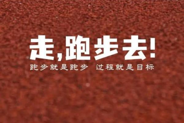 奔跑的意义：探索生命的奔腾与自由之旅