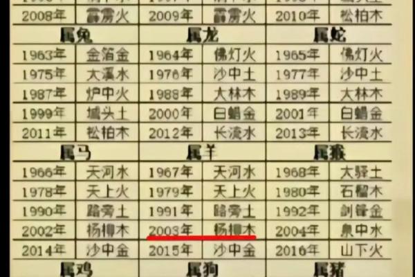 探寻木命命名的奥秘：让名字与命运齐飞